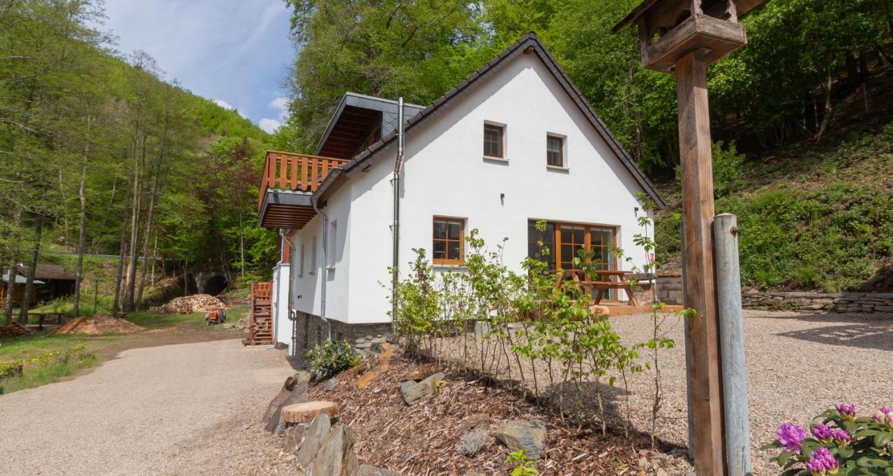 Rursee Schilsbachtal - Naturnahe Auszeit Am Rursee - Eifel-Ferienwohnungen Der Besonderen Art Simmerath Extérieur photo