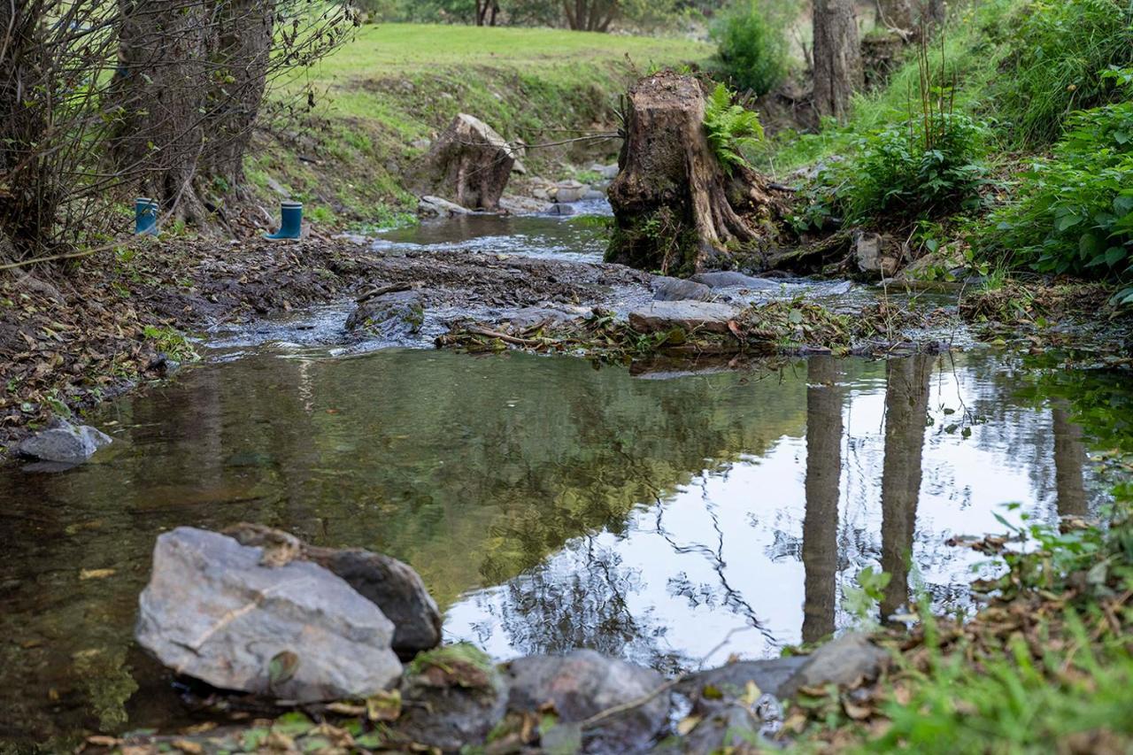 Rursee Schilsbachtal - Naturnahe Auszeit Am Rursee - Eifel-Ferienwohnungen Der Besonderen Art Simmerath Extérieur photo