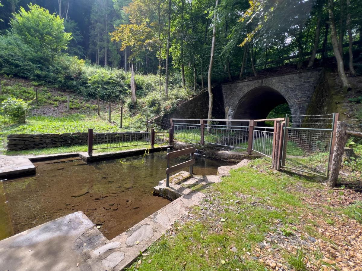 Rursee Schilsbachtal - Naturnahe Auszeit Am Rursee - Eifel-Ferienwohnungen Der Besonderen Art Simmerath Extérieur photo