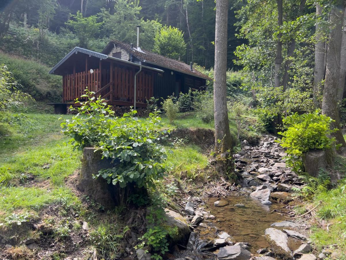 Rursee Schilsbachtal - Naturnahe Auszeit Am Rursee - Eifel-Ferienwohnungen Der Besonderen Art Simmerath Extérieur photo